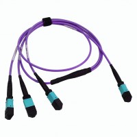 100G MTP® OM4+ Conversion Cable